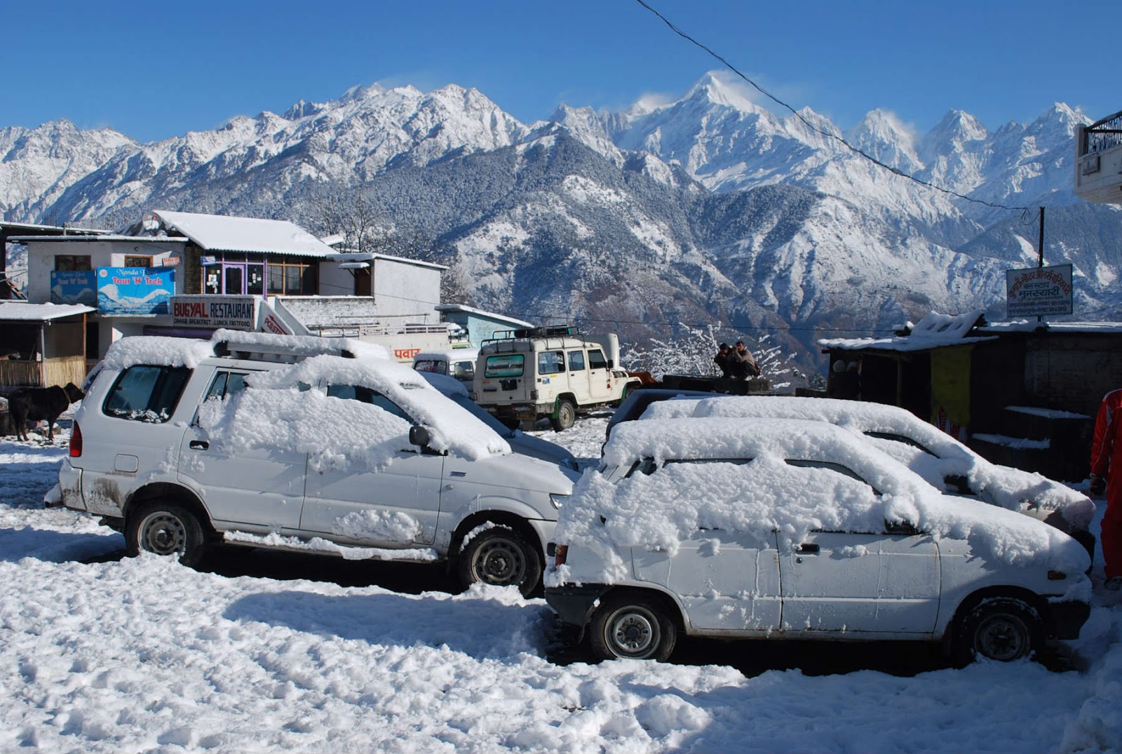 About Munsyari | मुनस्यारी