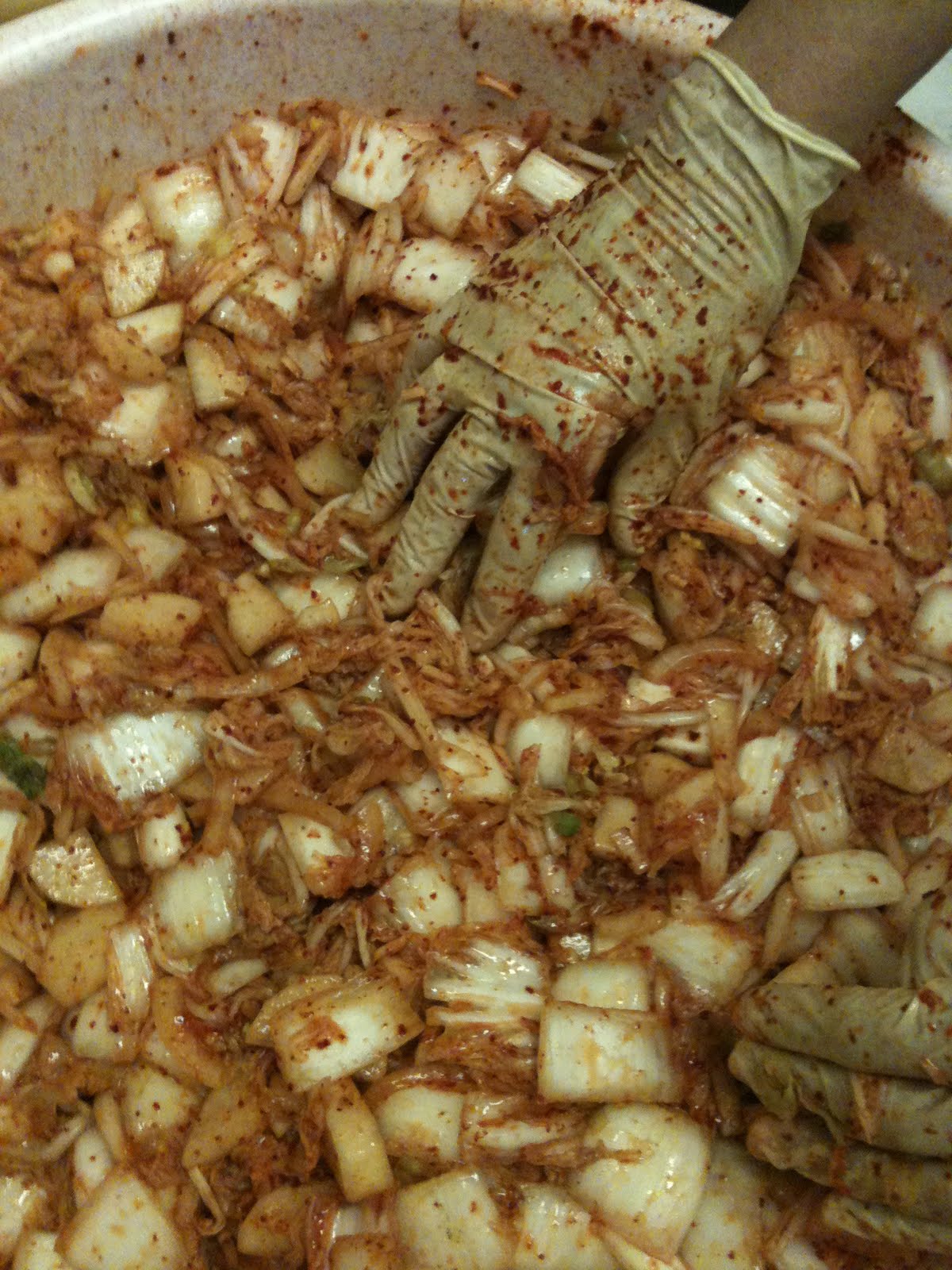 도시락 girl (Dosirak girl) Korean Bento How to Kimchi (family 김치 recipe!)