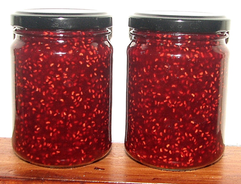 FOOD PRESERVING RASPBERRY & VANILLA JAM