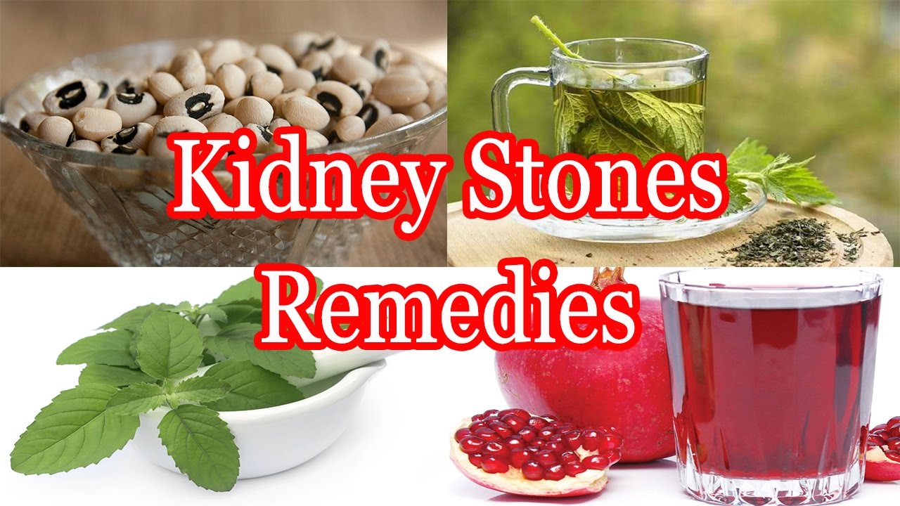 Ayurveda Kerala Treatment Center India AYURVEDIC TREATMENT FOR KIDNEY STONE