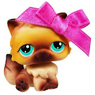 Littlest Pet Shop Gift Set Persian (#22) Pet