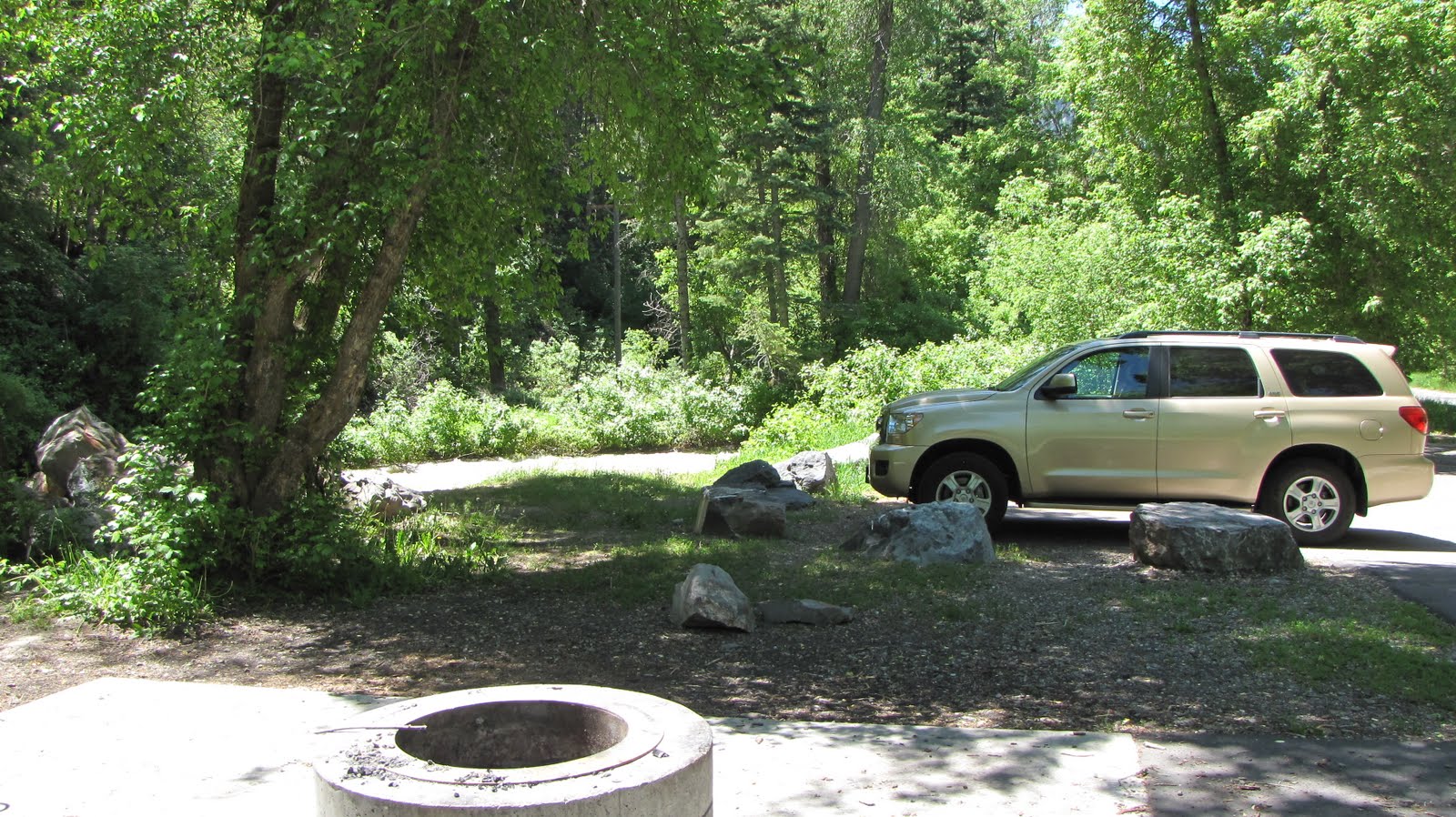 The Wonderful World Picnic at American Fork Canyon