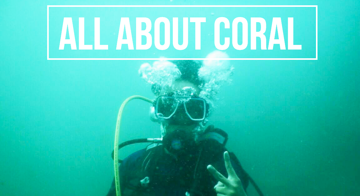 ALL ABOUT CORAL HERE