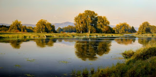 imprescindible-naturaleza-cuadros-realistas