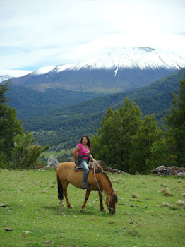 Malalcahuello 2012