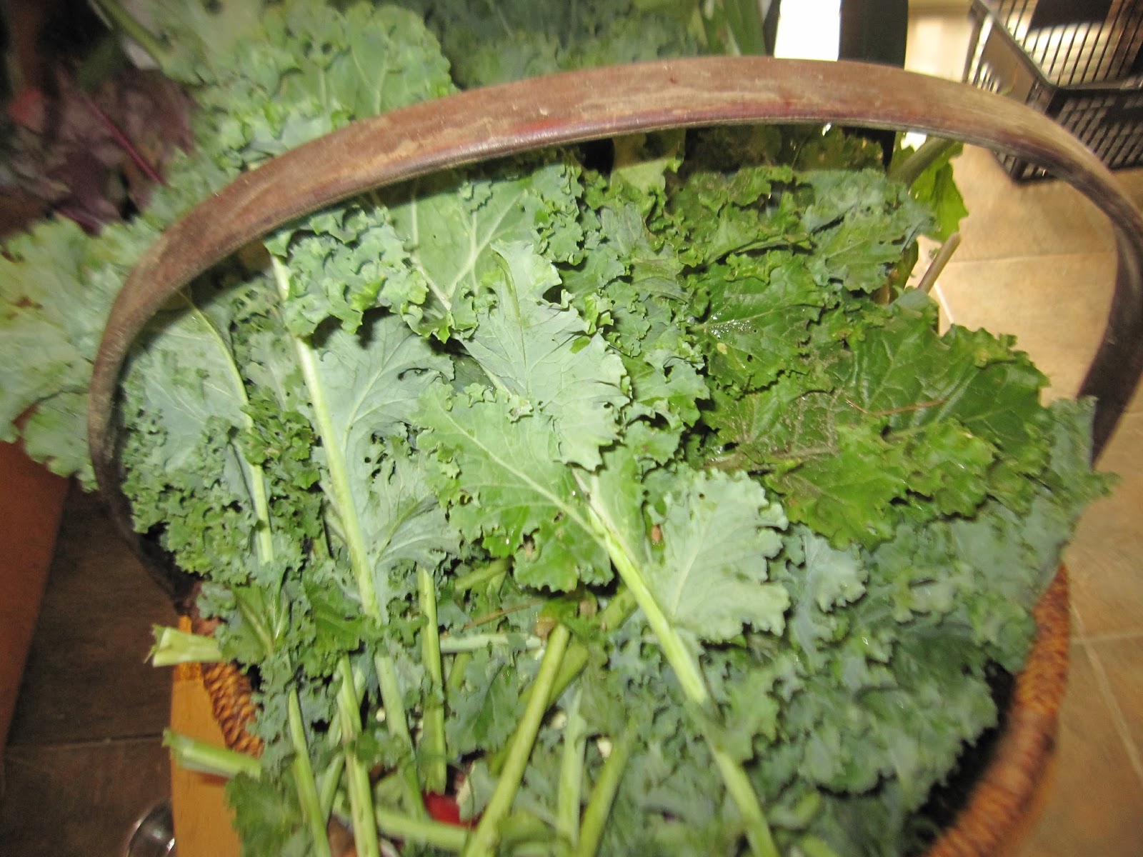 Silk Tree Farm Must Be Monday Lets Play in the dirt!