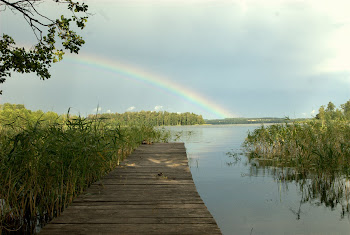 Mazury - jezioro Orzysz