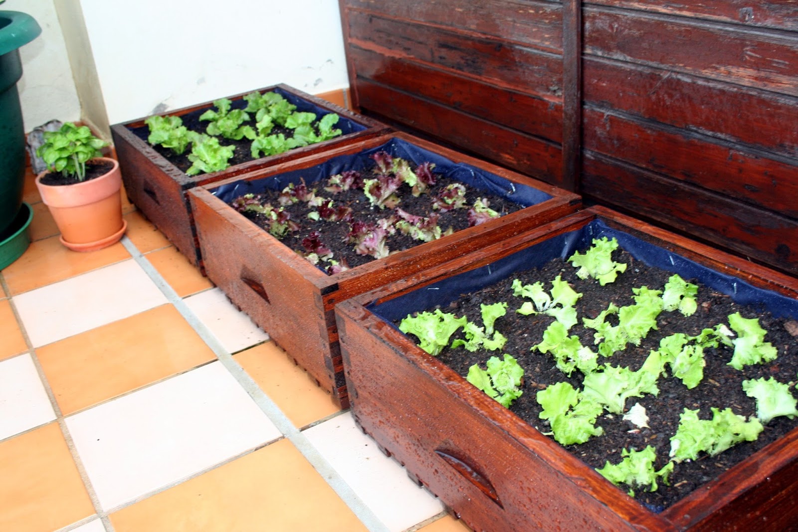 El Rincón de Tita Leti: Contenedores para huerto urbano