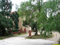 Part dels jardins de la Casa del Dr. Pla. Autor: Carlos Albacete