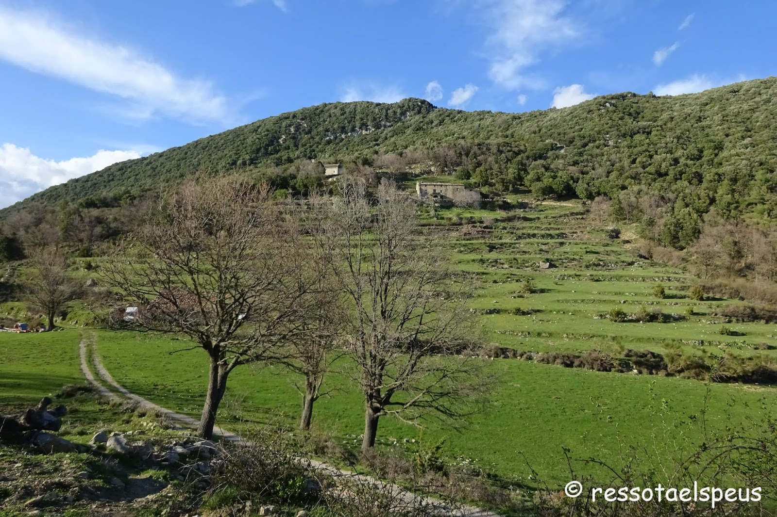 res sota els peus Volta a la serra de Bestracà