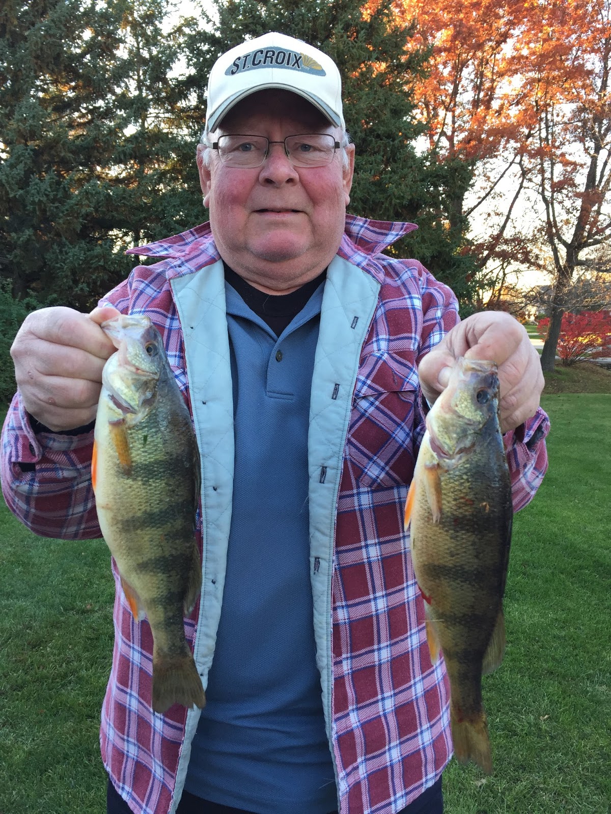 Wisconsin Fishing Updates PERCH!