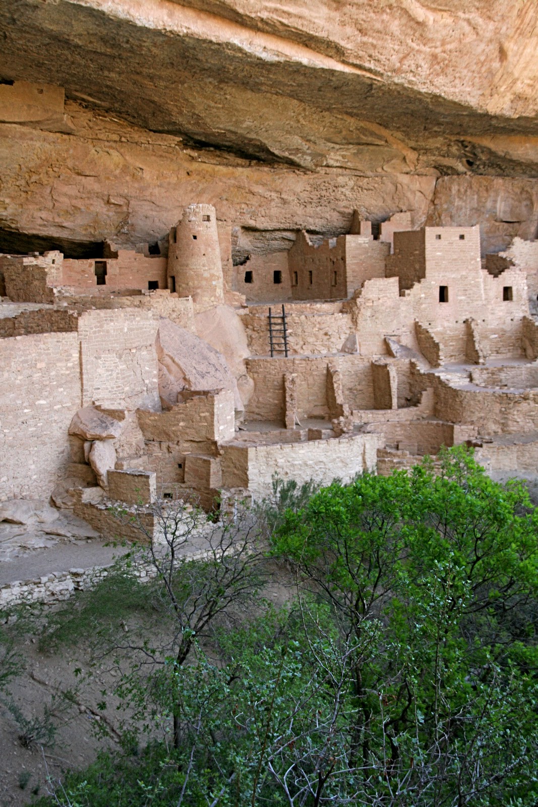Finding the extraordinary in the ordinary Colorado Mesa Verde
