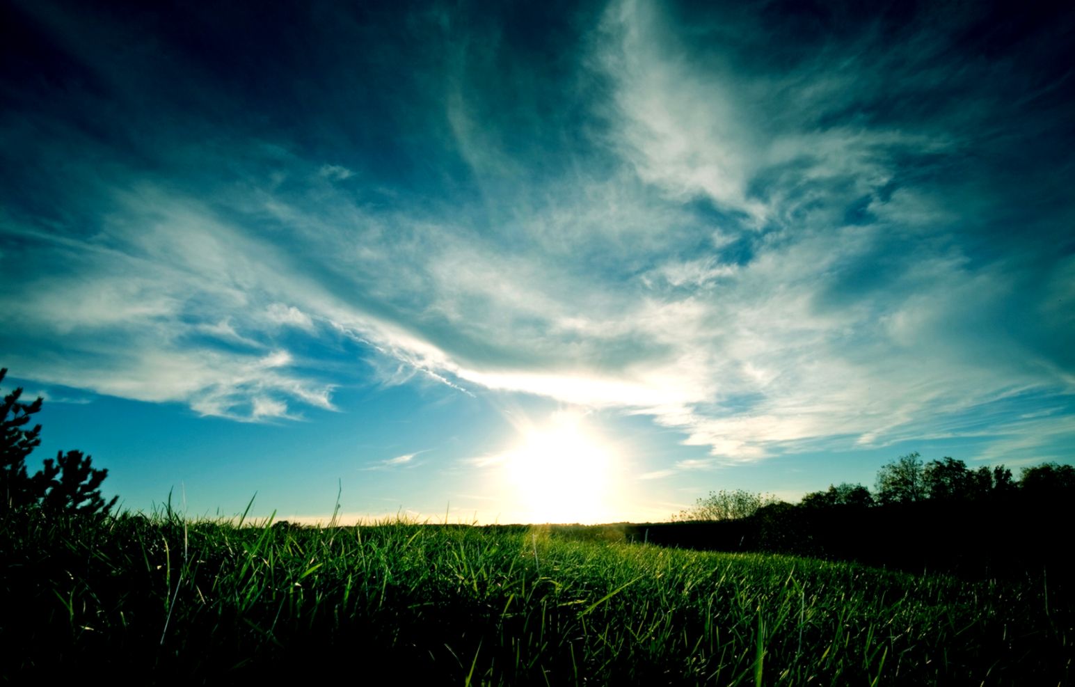widescreen wallpaper   Free Large Images