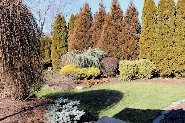 A GUIDE TO NORTHEASTERN GARDENING: Spring is Approaching! - Garden