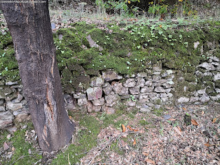 NATURE VIEWS / Fotografias de natureza, Castelo de Vide