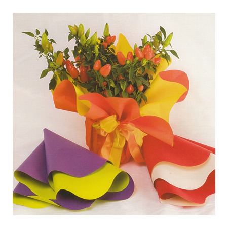Justice paralysis One sentence Life is Origami: Ambalajele pentru flori – cum sa le folosesti si care este  scopul lor