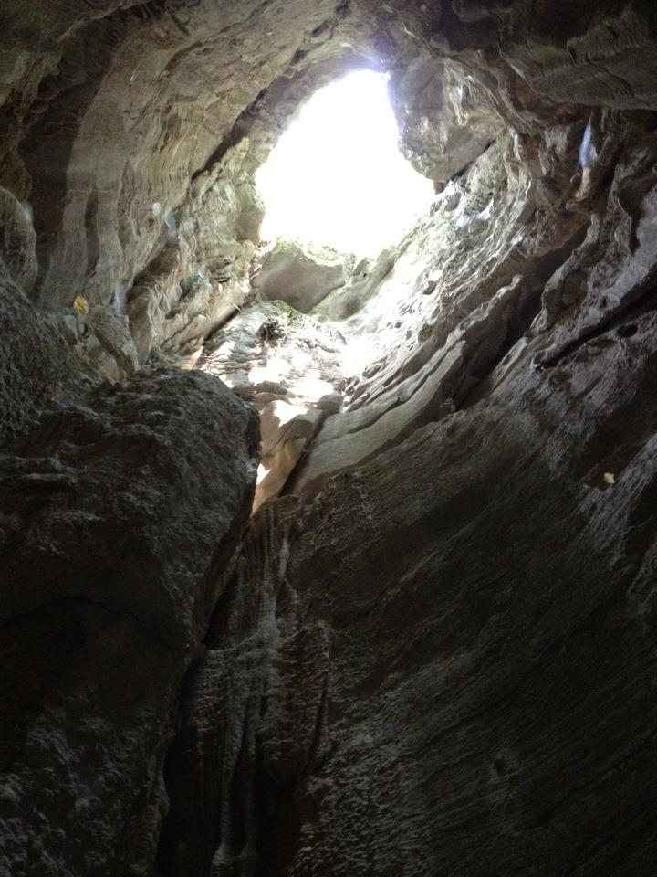 Sewanee Environmental Institute And now a word from our poets