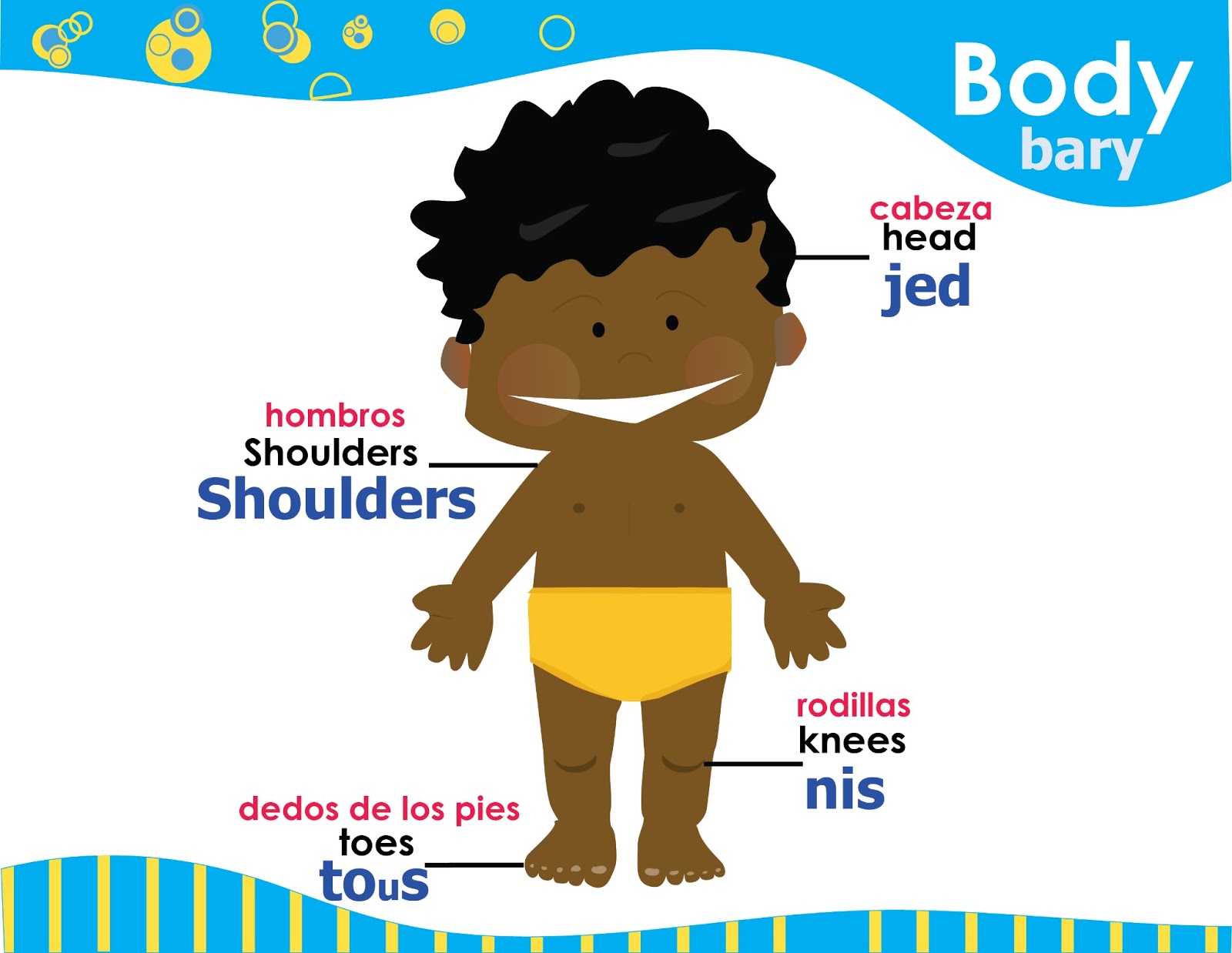 Song ¨Head, Shoulders, knees and toes¨