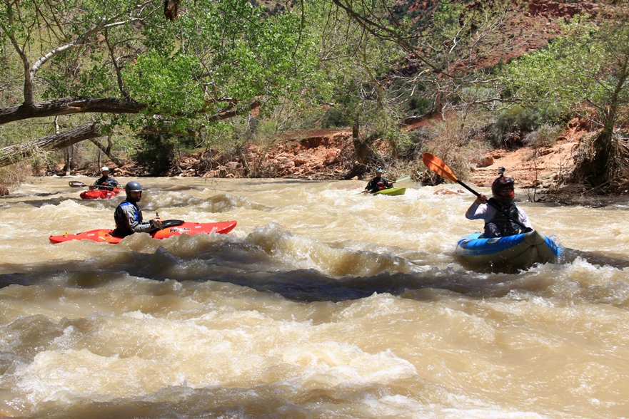 Nevada and Utah: Zion National Park (Utah)