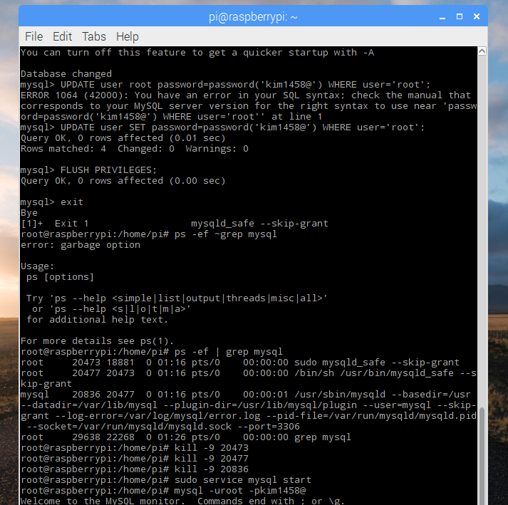  mysql root 