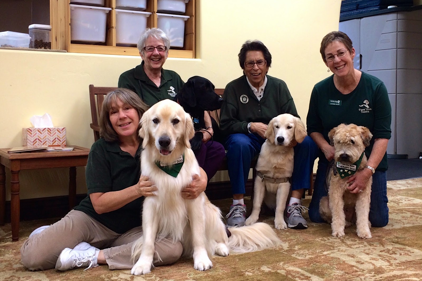 nonprofit spotlight pawsitive teams service therapy dogs