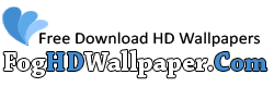 Download Full HD Wallpapers | Fog HD Wallpaper