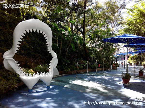 海洋公園新鯊魚館 - 尋鯊探秘