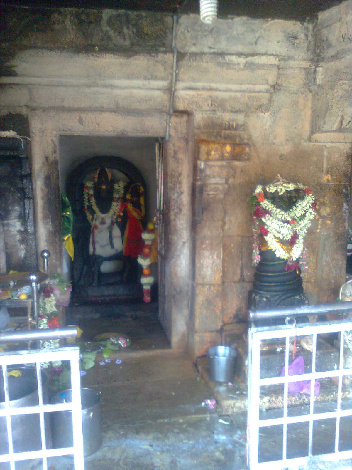 Suparni Devi Peraiyur Naganathar Sarpa Dosha Nivarana pooja