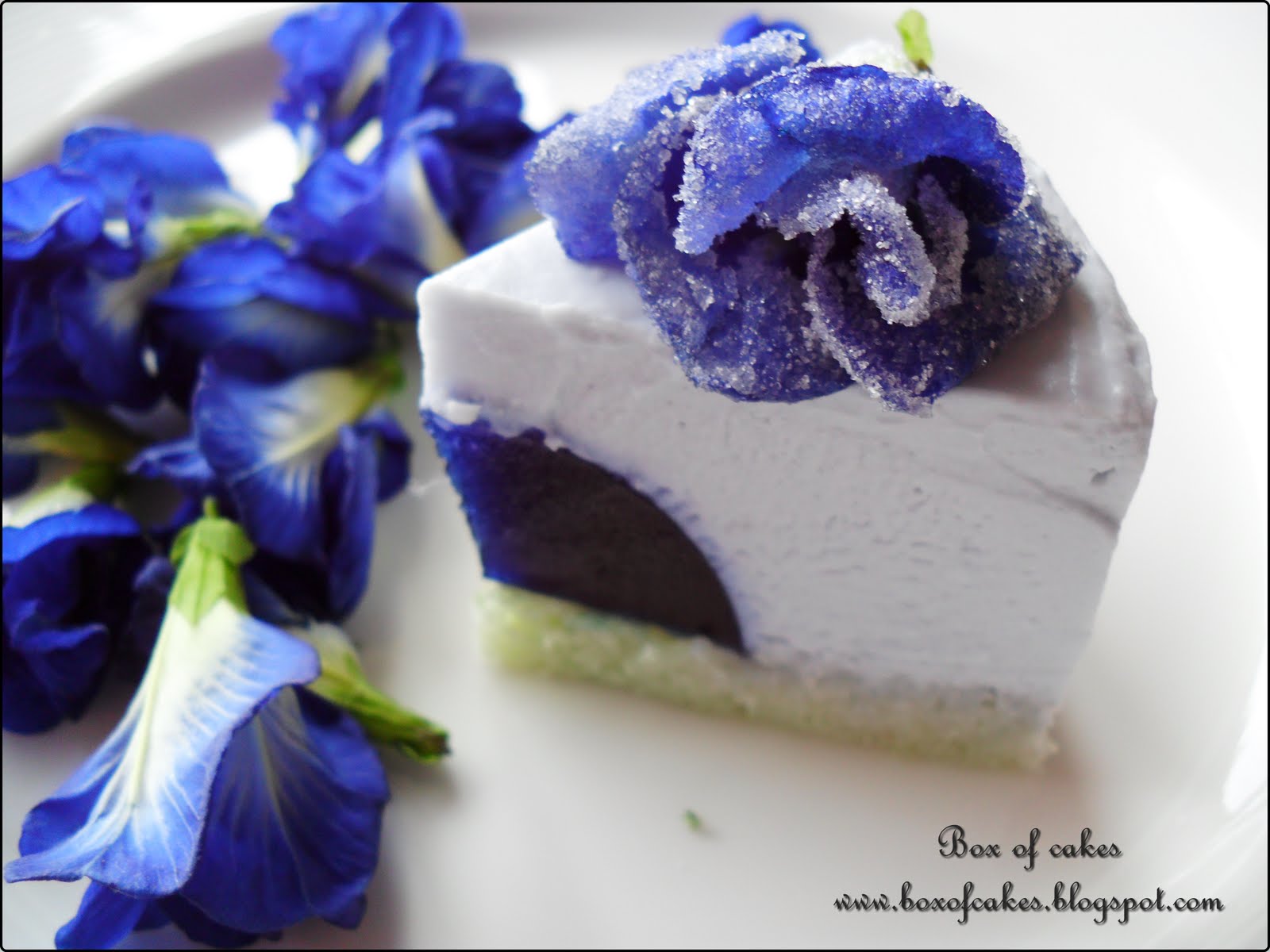 Box of cakes An aroma blue pea cake