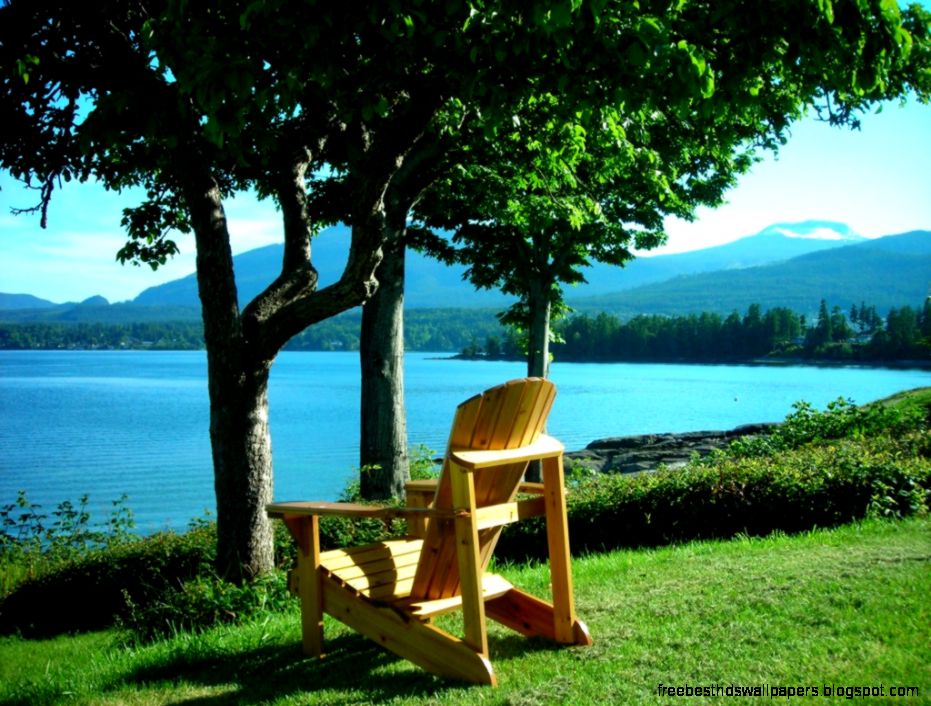 A peaceful place to visit   Beachside Garden BampB