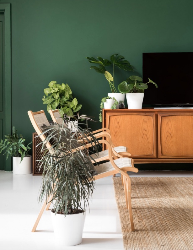 Appunti di casa Home tour una casa ispirata dalla natura