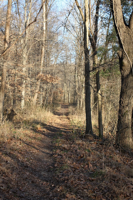 Rustic trail in Hoosier National Forest