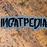 Invert Pro Invert Pro