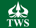 Tawhid World System