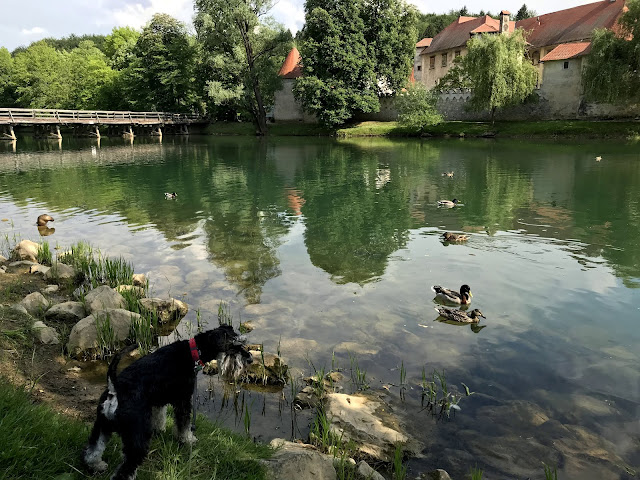 Otocec Ob Krki Slovénie