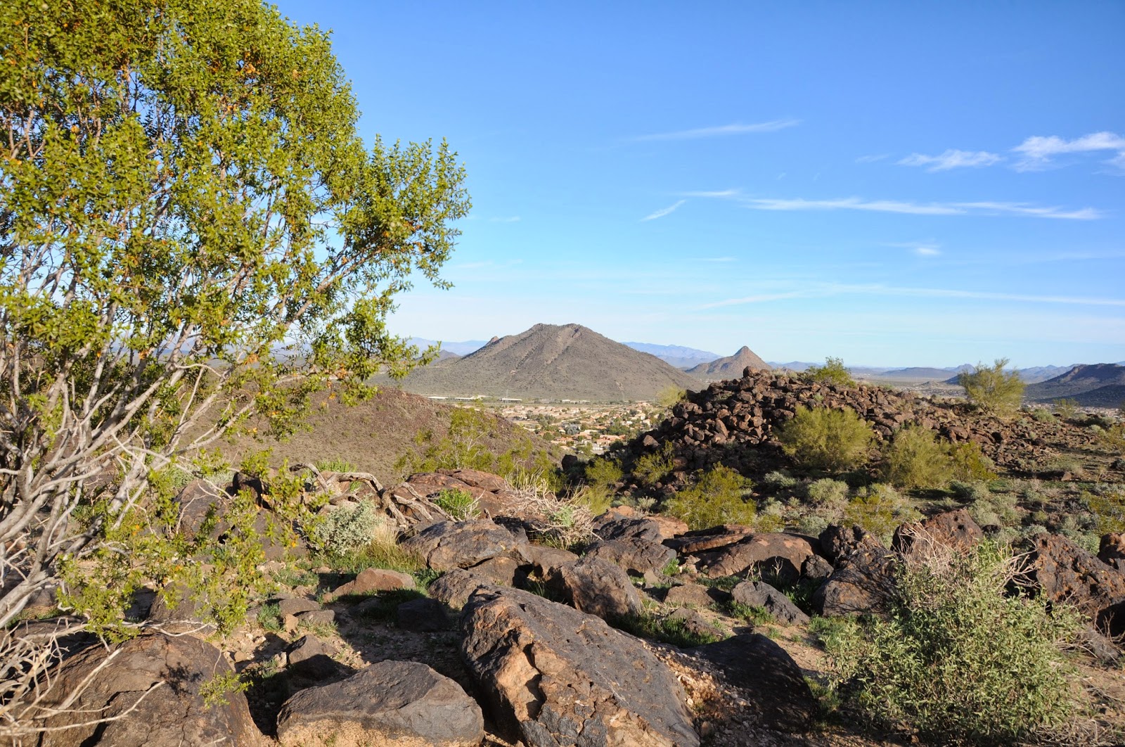 Arizona Hiking THUNDERBIRD CONSERVATION PARK