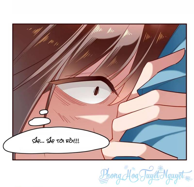 Cẩm Lý Quy - Chương 8 - Trang 4