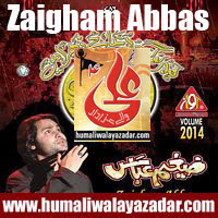 http://ishqehaider.blogspot.com/2013/11/zaigham-abbas-nohay-2014.html