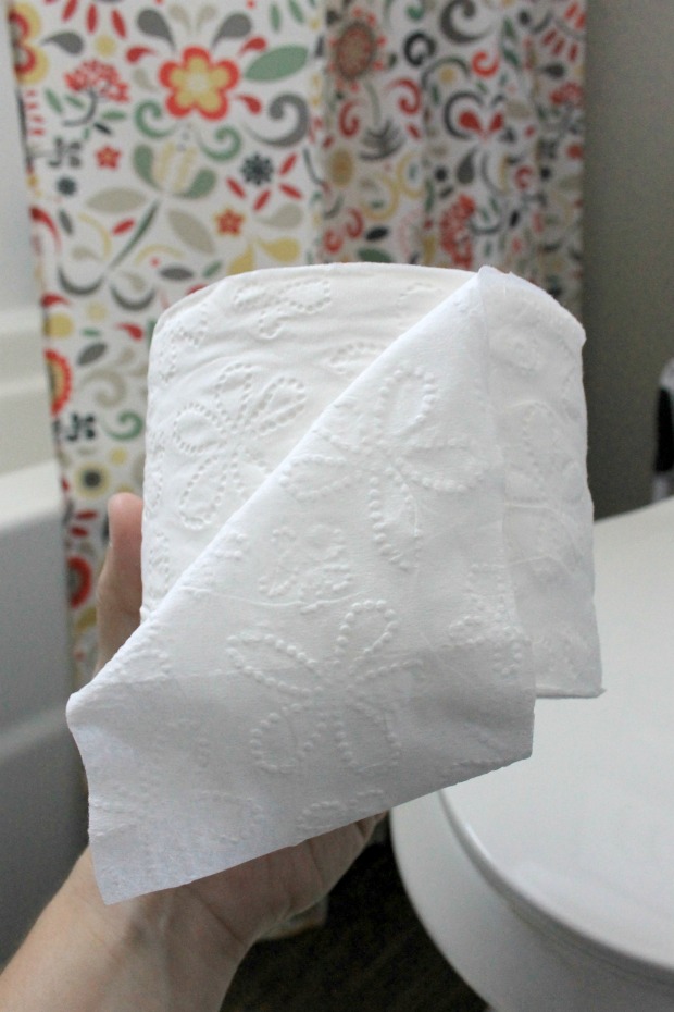 Ginger Snap Crafts 5 Tips for a Fresh Smelling Bathroom