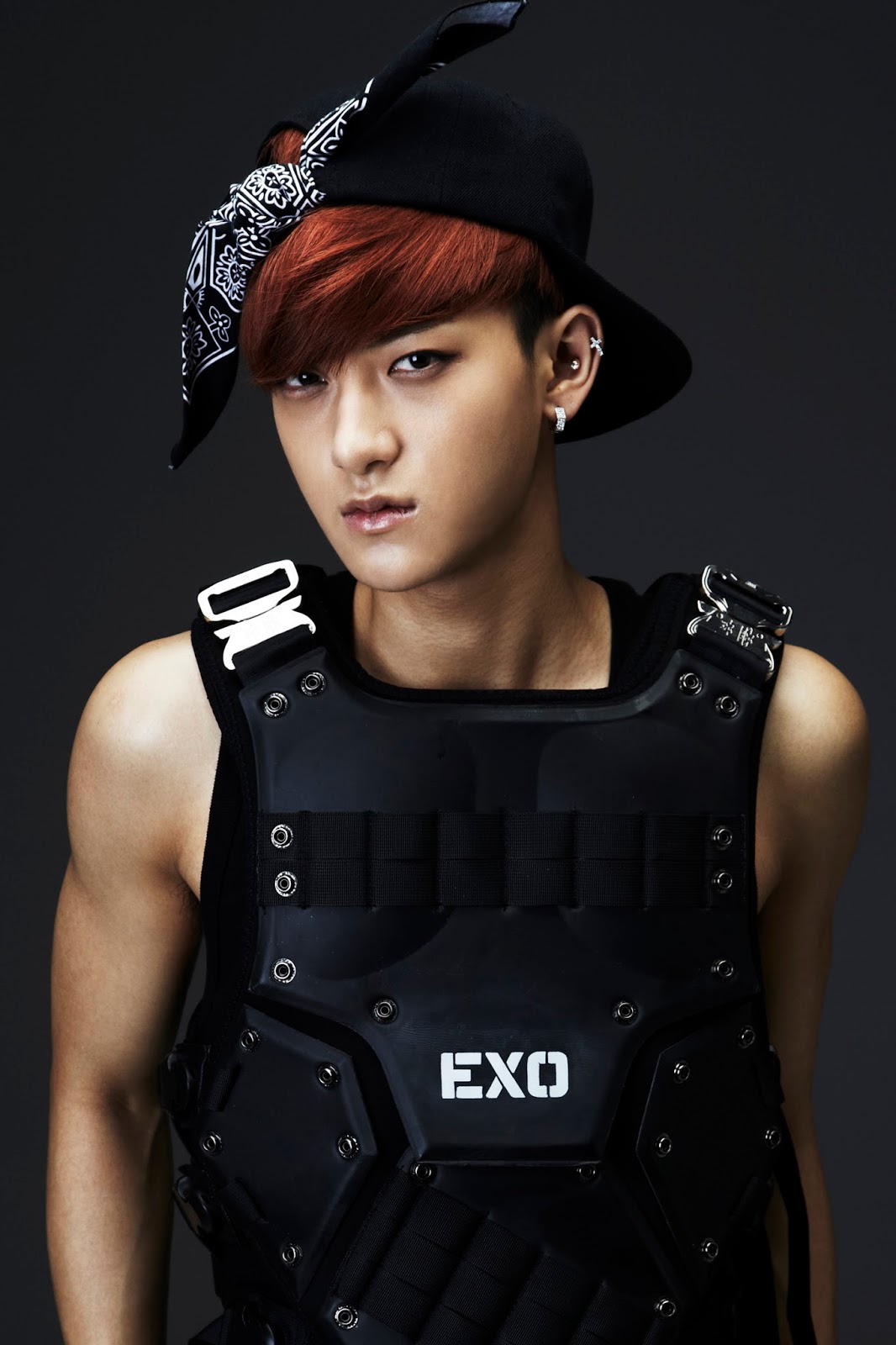 Kpop: Biodata member EXO