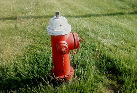 white top fire hydrant