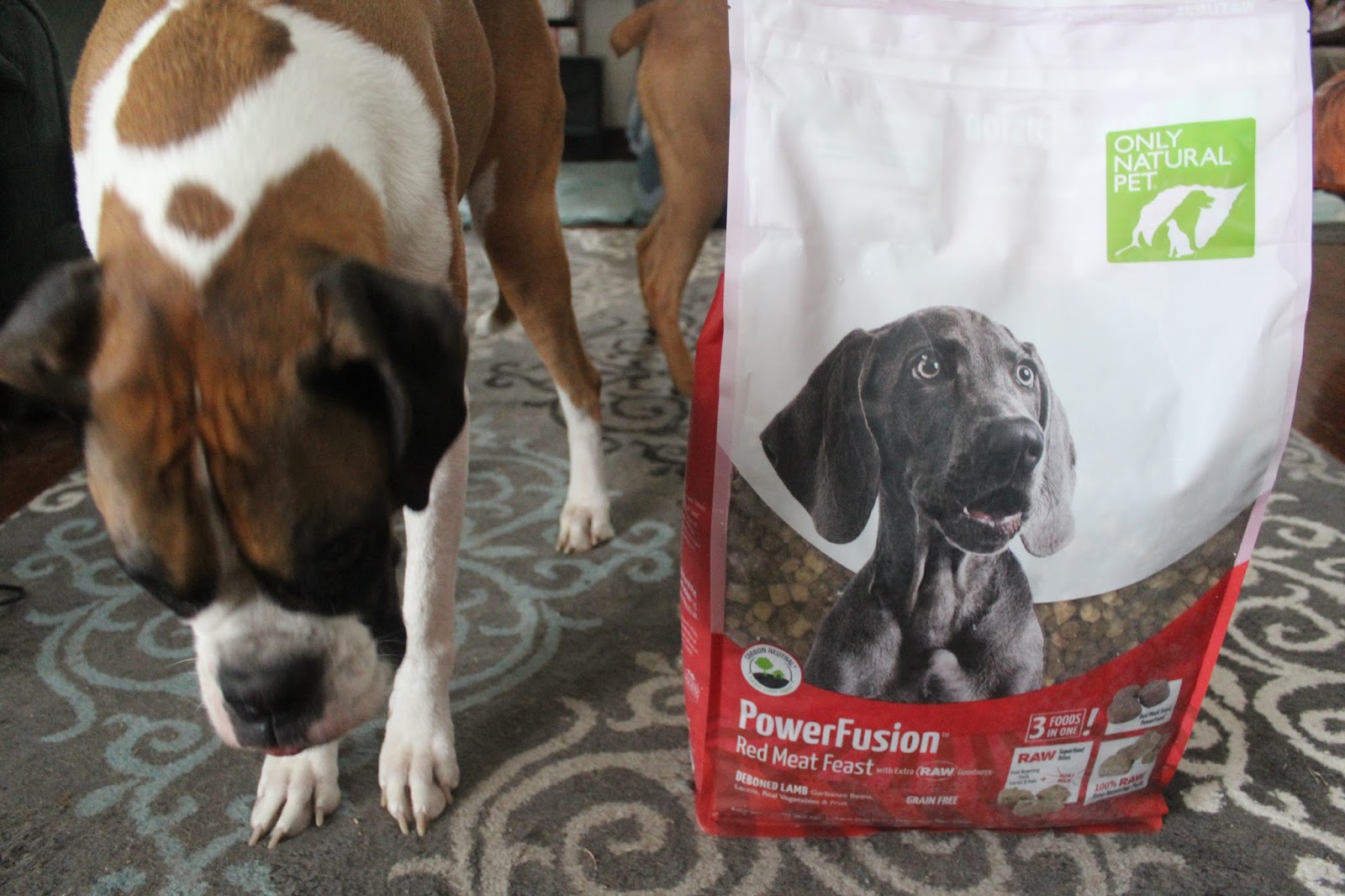 Dog Madness PowerFusion Grain Free Raw Infused Dog Food Is Pawesome