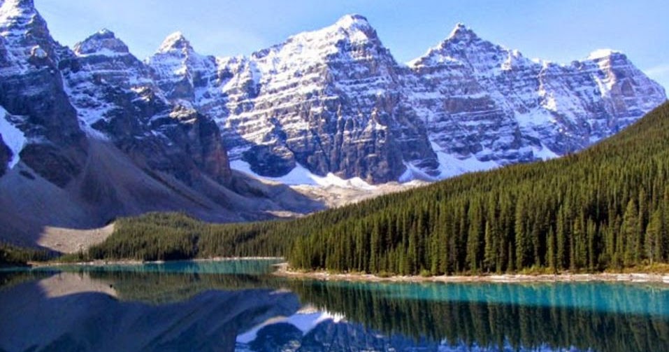 Suatu ekosistem darat memiliki ciri-ciri sebagai berikut: Ekosistem