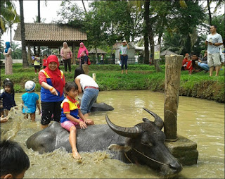 biMBA AIUEO Limus Pratama Liburan yang Seru