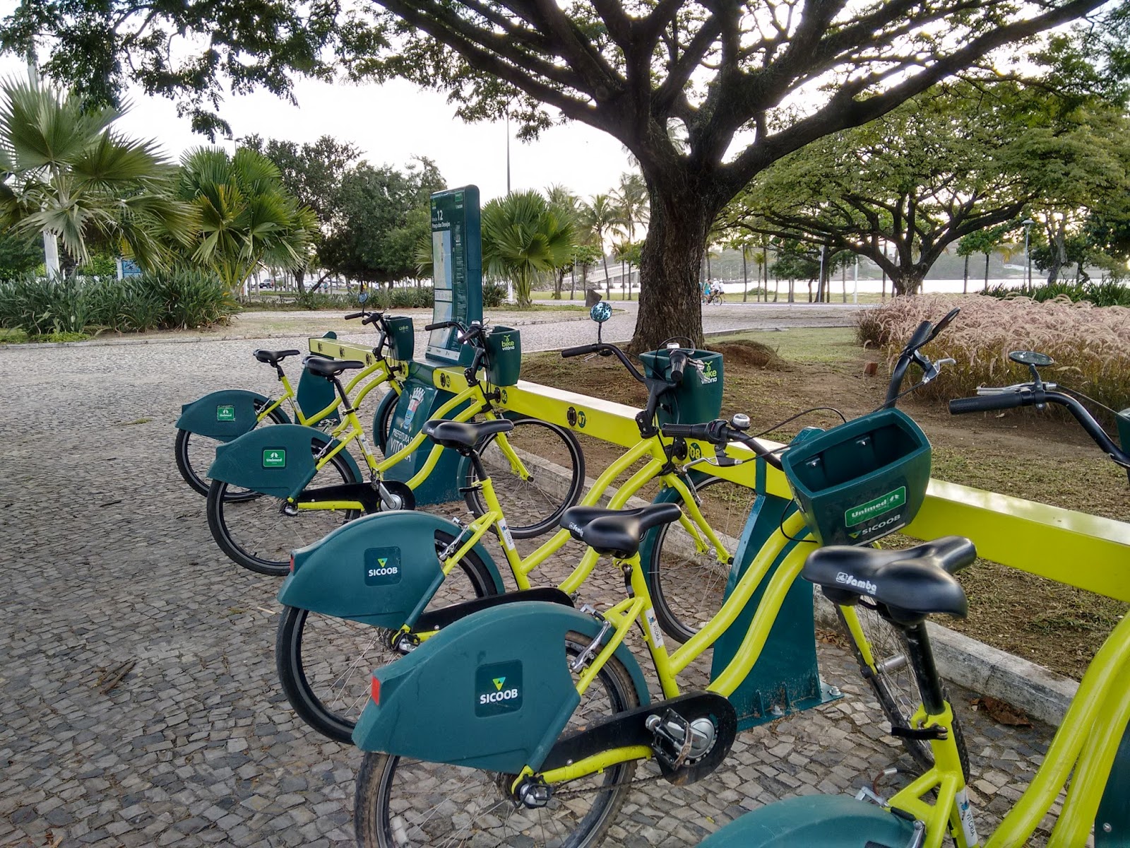 Bike camburi Clearance