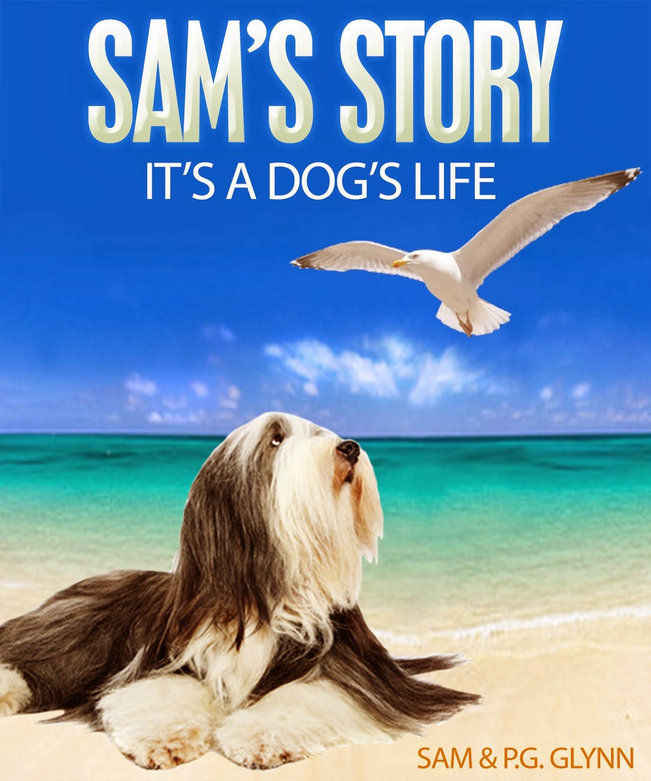 SAM'S STORY