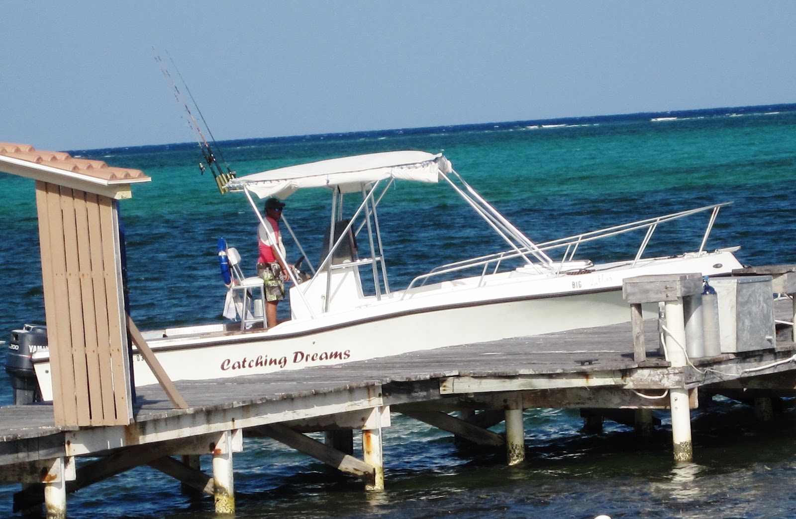 Bella in Belize Bella Prepares for Lobsterfest