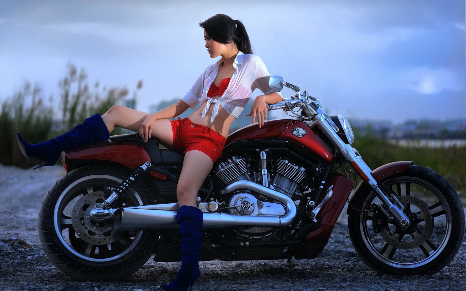 Chica En Harley Davidson Fondos De Pantalla Hd Wallpapers Hd