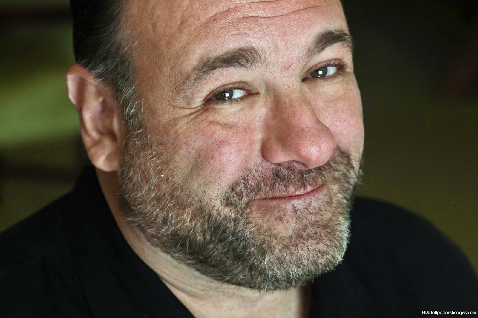 RETRO KIMMER'S BLOG JAMES GANDOLFINI'S FINAL FILM TRAILER IS RELEASED