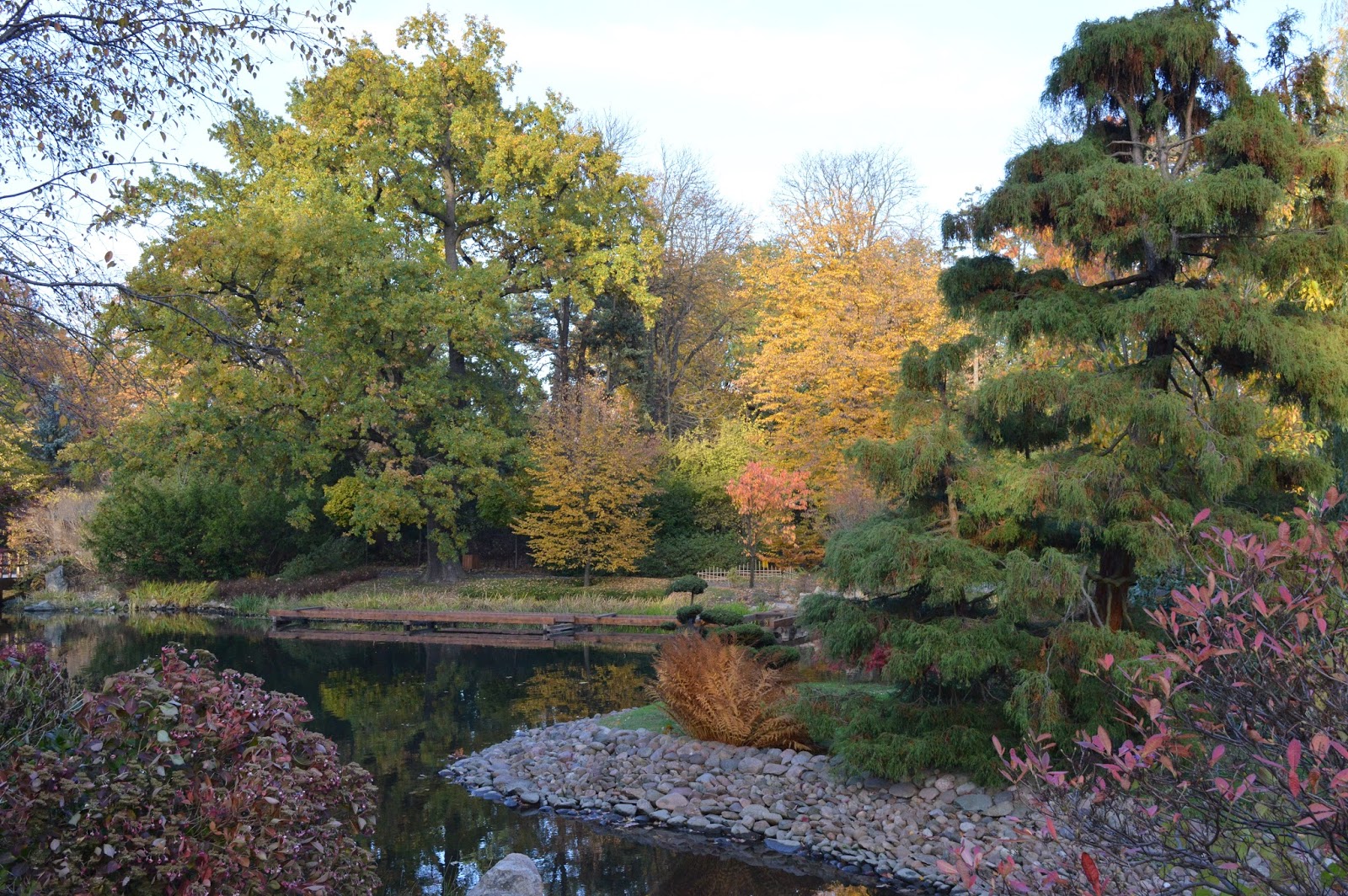 Mon année Erasmus à Wroclaw, Pologne.